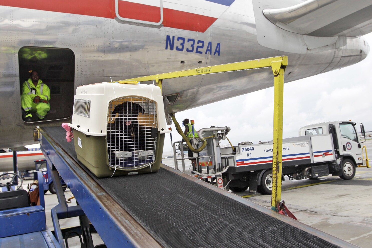 American airlines pet policy carry on top